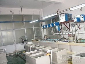 廣告設(shè)計(jì) 藝術(shù)與策略的交匯